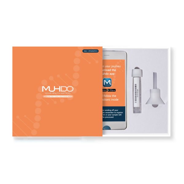 DNA Transform - Muhdo EPI